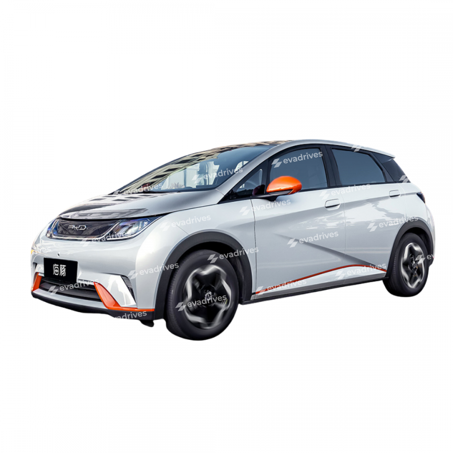 EVA DYWANIKІ DO Byd Dolphin 2021+