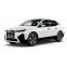 EVA DYWANIKІ DO BMW iX (I20) xDrive40 SUV 2021+ 1 generation