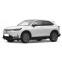 EVA DYWANIKІ DO Honda eNS1 SUV 2022 +