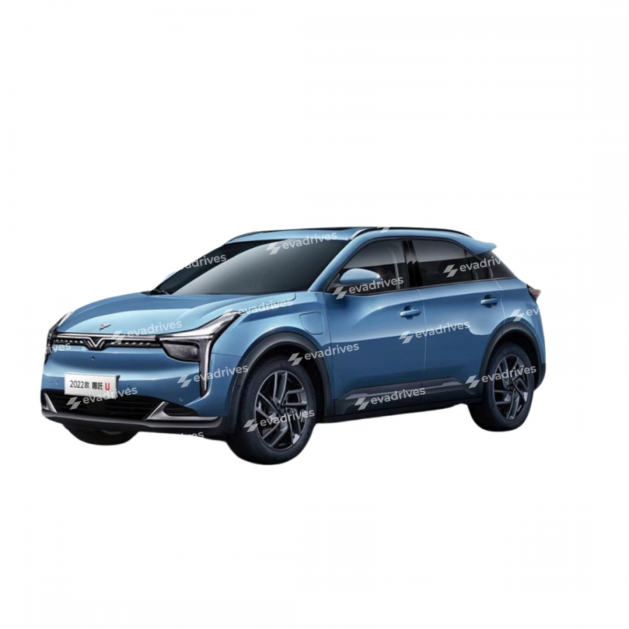 EVA DYWANIKІ DO Neta U Pro SUV 2020+