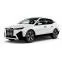 EVA DYWANIKІ DO BMW iX (I20) xDrive40 SUV 2021+ 1 generation