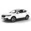 EVA DYWANIKІ DO FAW Besturn (X80) Restyling SUV 2018+ China 1 generation