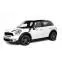 EVA DYWANIKІ DO MINI Countryman (R60) Htb 2010-2017