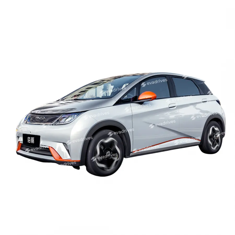 EVA DYWANIKІ DO Byd Dolphin 2021+