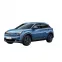 EVA DYWANIKІ DO Neta U Pro SUV 2020+