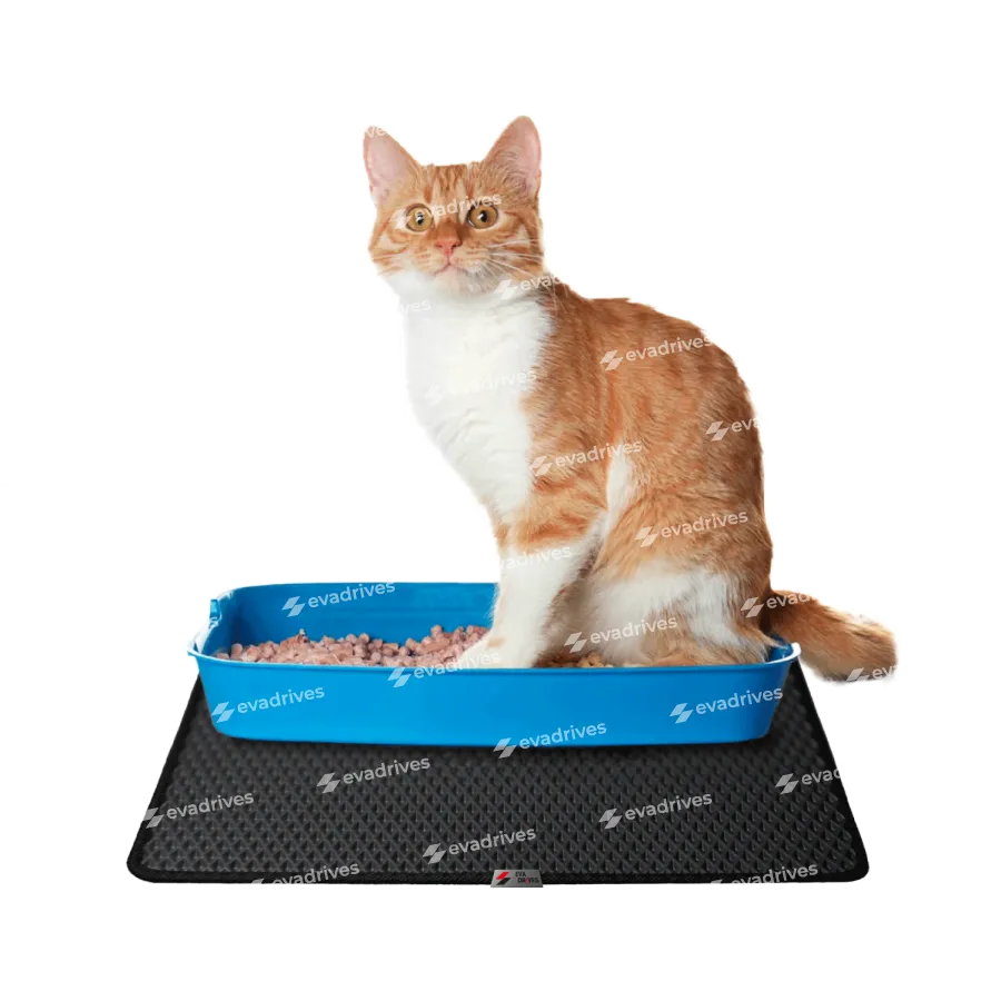 Dywany do tac dla kotów